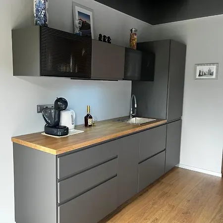 Apartment & Terrace Pruhonice