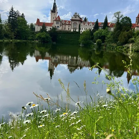 Apartament & Terrace *